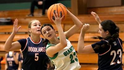 Photos: Alden-Hebron vs. Woodlands Academy girls basketball