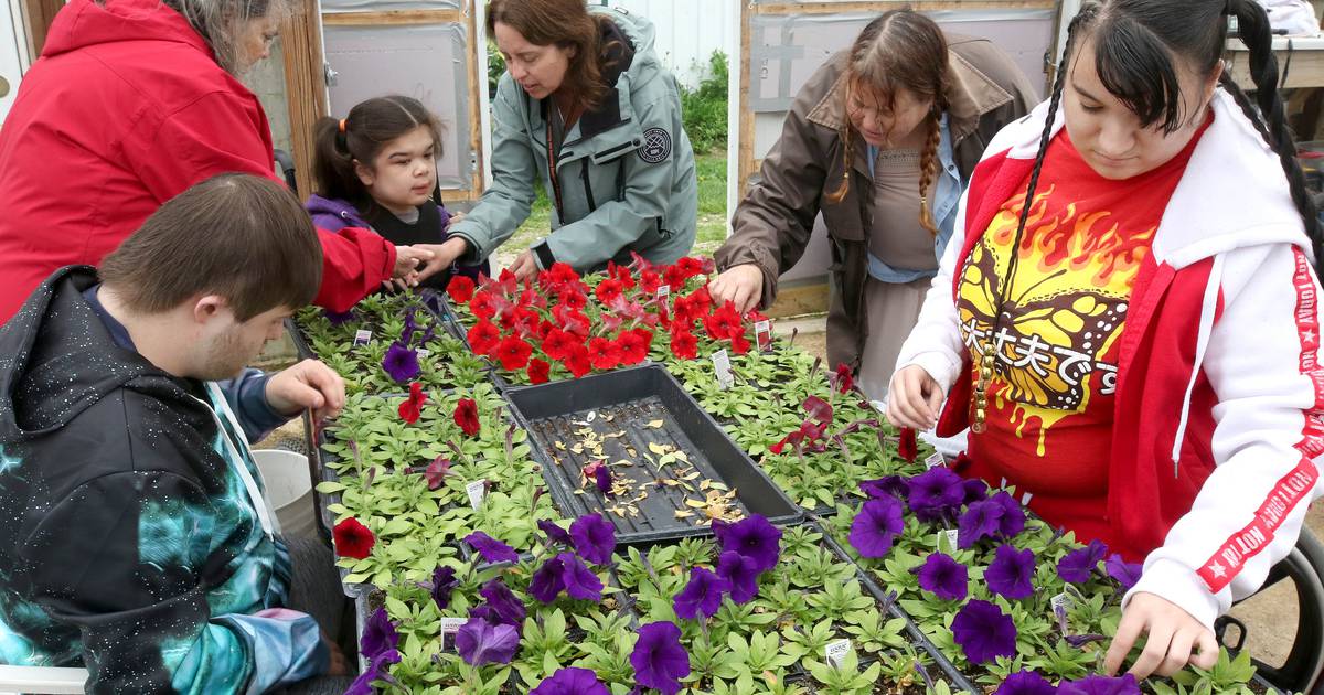 Photos DeKalb School District 428 Transition Program students work at