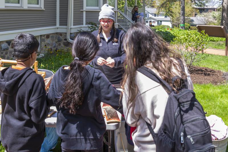 Katie Wallace with the Grove Foundation instructs kids how to make sheep coats into yarn at the Downers Grove Park District Country in the Park on Saturday, May 3, 2025  in Downers Grove.