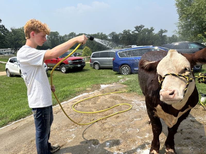 Joseph Thurow, 14, of Davis Junction, washes his steer DJ before showing him at the Ogle County 4-H Fair in Oregon on Thursday, July 31, 2025.
