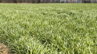 Lady Landowners invited to seminar on farmland leases and conservation