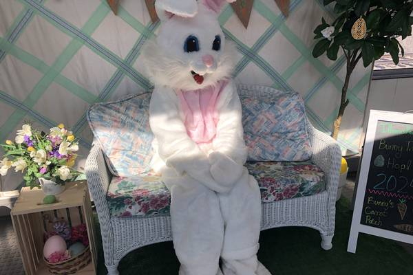 Mendota Area Chamber of Commerce Easter Hop