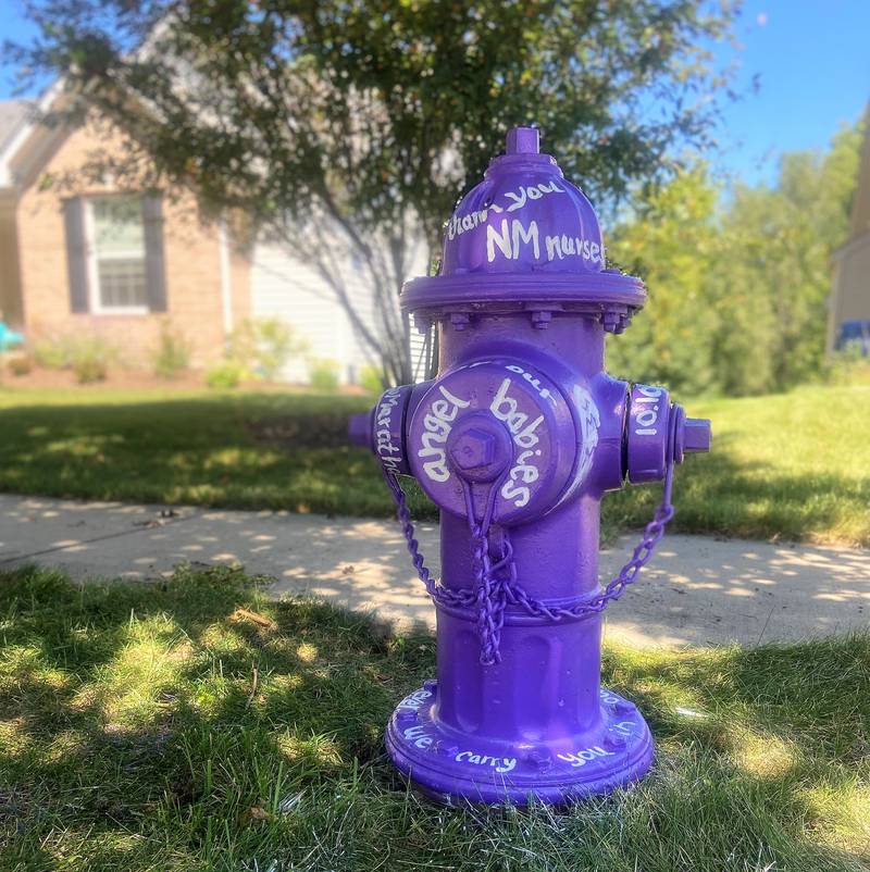 A Paint-A-Plug hydrant on Yorkshire Drive was created in 2021 as a public thank you to nurses at Northwestern Medicine. Photo provided by Scott Zak of the City of DeKalb.