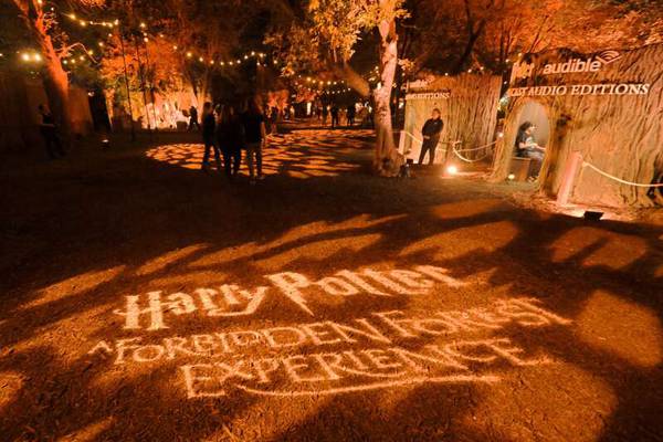 Harry Potter experience brings touch of magic to the suburbs
