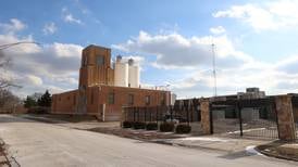 Growing concerns regarding Aqua plant growth