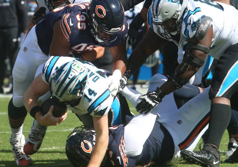 Chicago Bears DeMarcus defensive lineman DeMarcus Walker brings down Carolina Panthers quarterback Andy Dalton on Sunday, Oct. 6, 2024 at Soldier Field in Chicago.