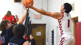Photos: Somonauk at LaMoille boys basketball