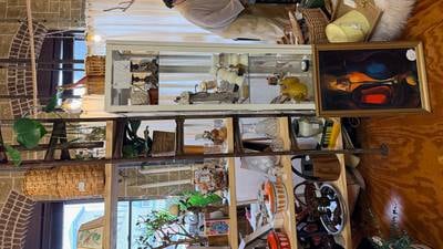 Discover vintage treasure at Warehouse 55 