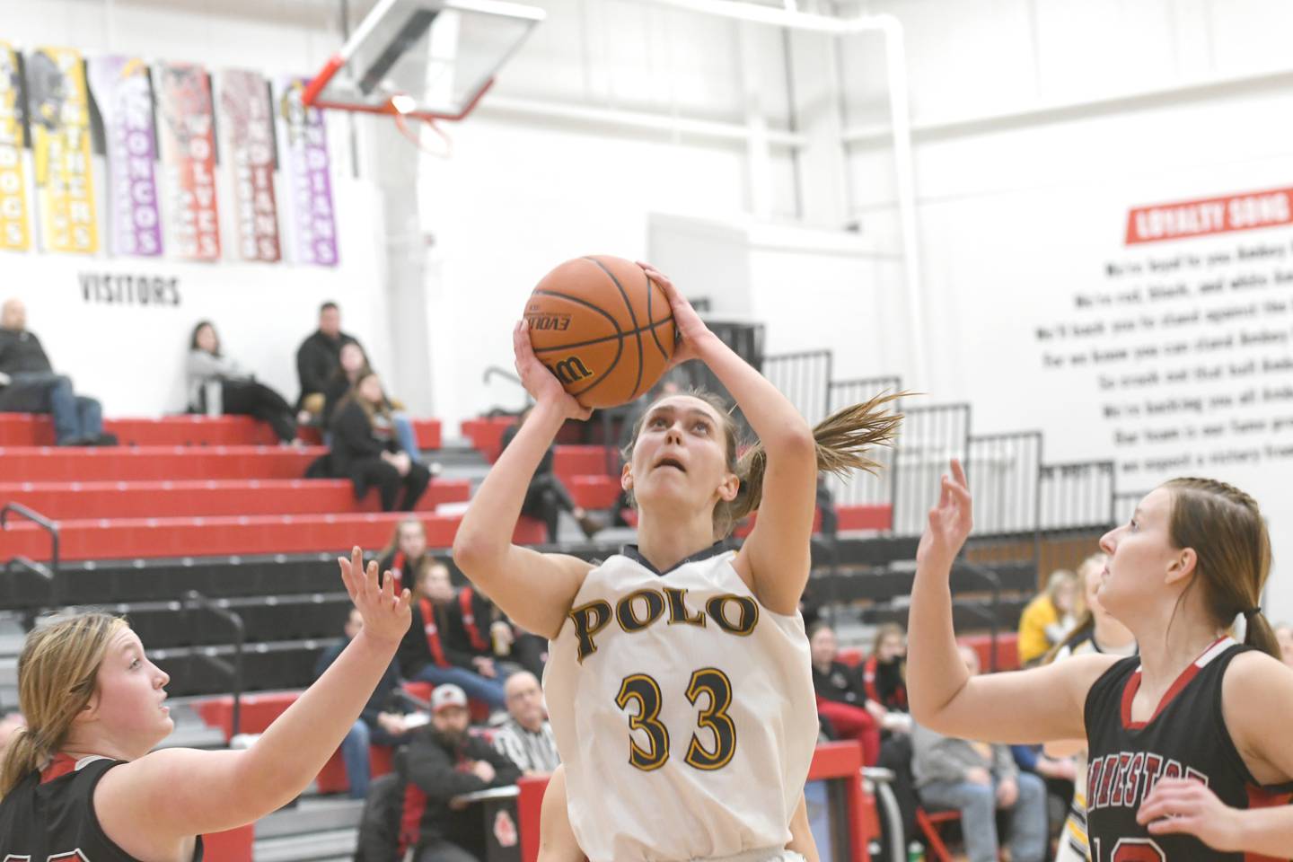 Polo's Lindee Poper shoots against Forreston during Tuesday action at the 1A Amboy Regional.