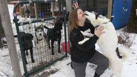 Hebron woman trains sled dogs, but sport isn’t just about racing