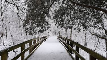 Beat the seasonal blues