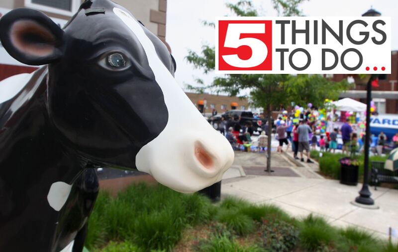 5 Things Milk Days