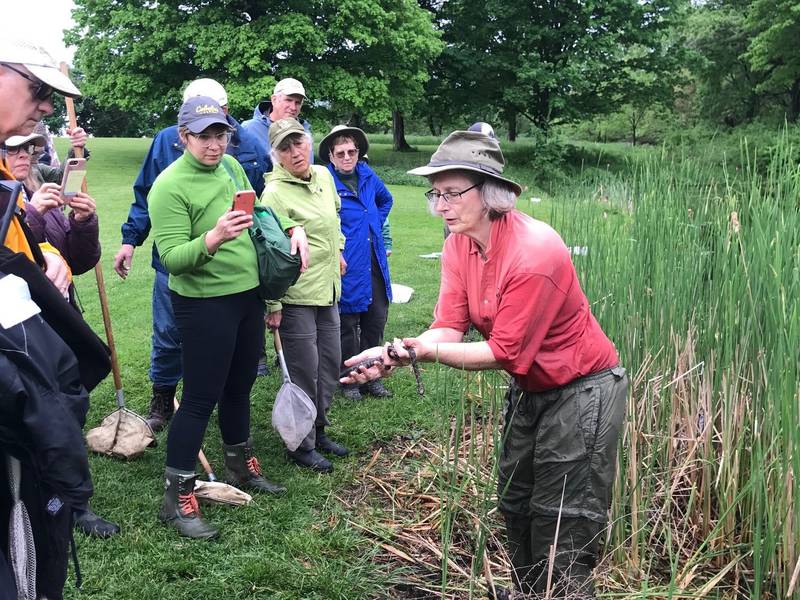 Learning experiences such as this very wet wetlands field trip help participants in the Kane County Certified Naturalist program understand the connections within our local ecosystems.