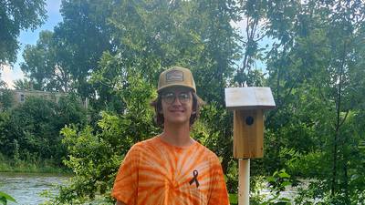 Sterling High School senior installs 12 bluebird houses in Rock Falls for Eagle Scout project