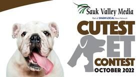 Vote in the Sauk Valley’s October 2022 Cutest Pet Contest today!