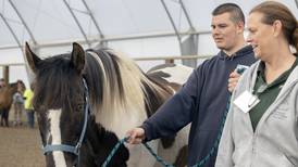Therapeutic horse clinic in Oregon needs volunteers to expand number of group sessions