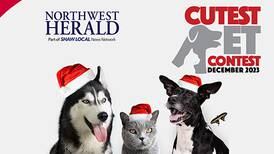 McHenry County’s December Cutest Pet Contest