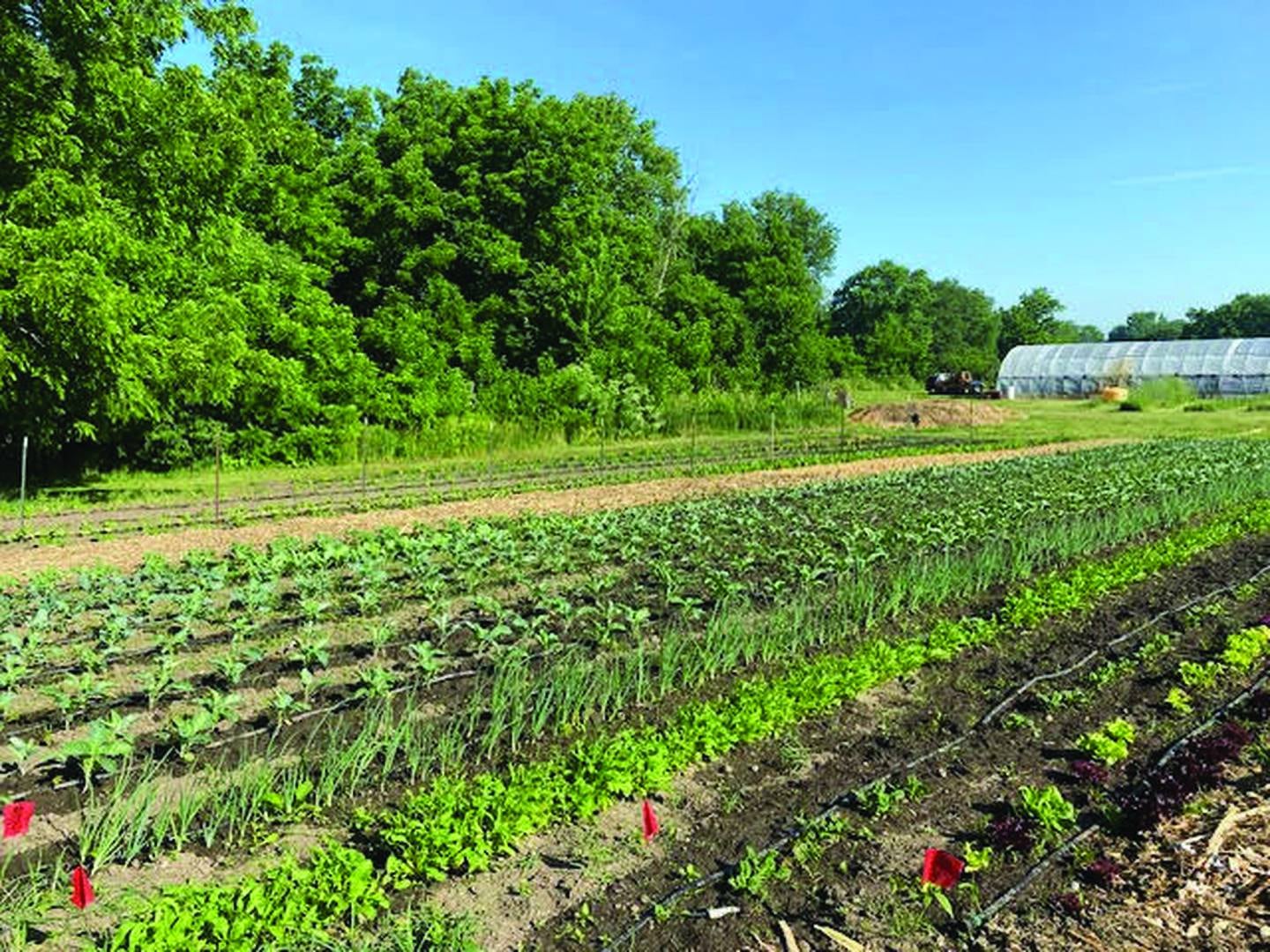 Before the produce makes its way to the plate at Wild Ginger Bistro in Princeton, it's first grown on the family's own organic farm.