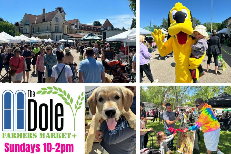 Farmers Market+ At The Dole - Summer is in Full Swing at The Dole