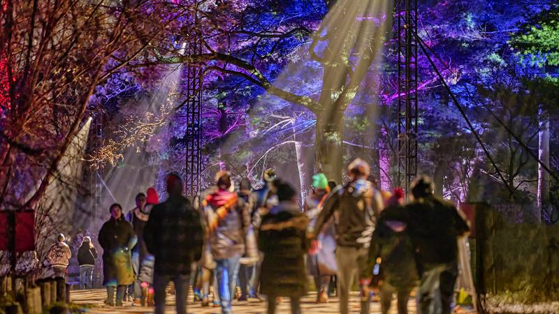 5 Things to Do: New Year’s Eve events, last chance for holiday light shows