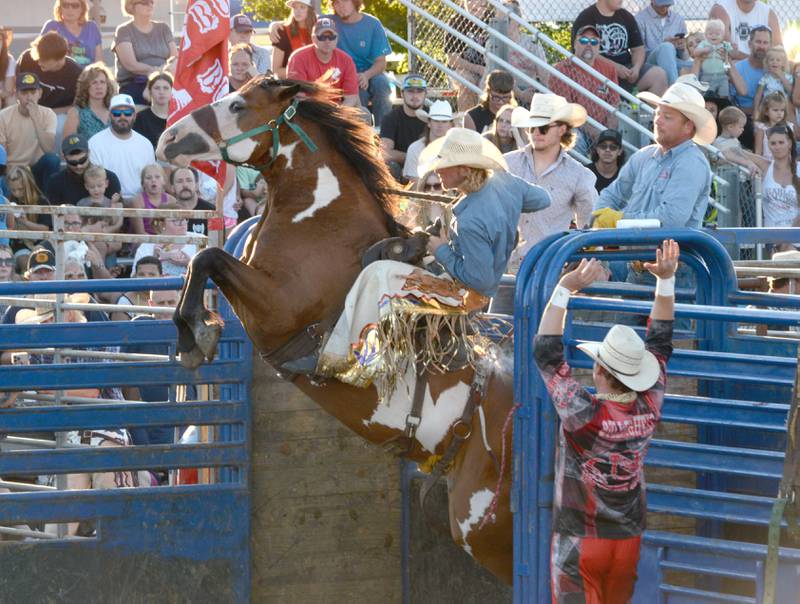 Cole Hedge tries to stay on a bucking bronco as it busts out of the gate during the T and A rodeo at the Lee County Fair on Saturday, July 29, 2023.