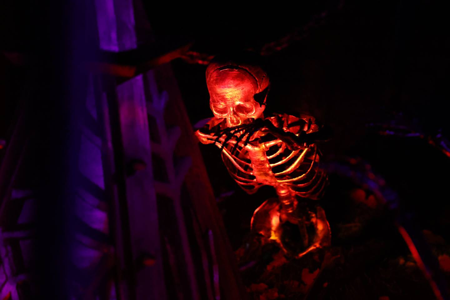 A skeleton is lite up outside the home of Jeff Eggener, a New Lenox carpenter. Jeff spent over a month re-siding his house, installing the plywood “haunted house” facade. Tuesday, Oct. 4, 2022, in New Lenox.
