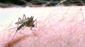 West Nile virus-positive mosquitoes collected in Granville