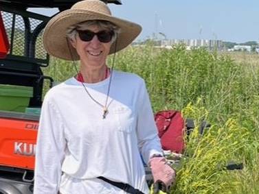 Down the Garden Path: Veggie garden inspiration