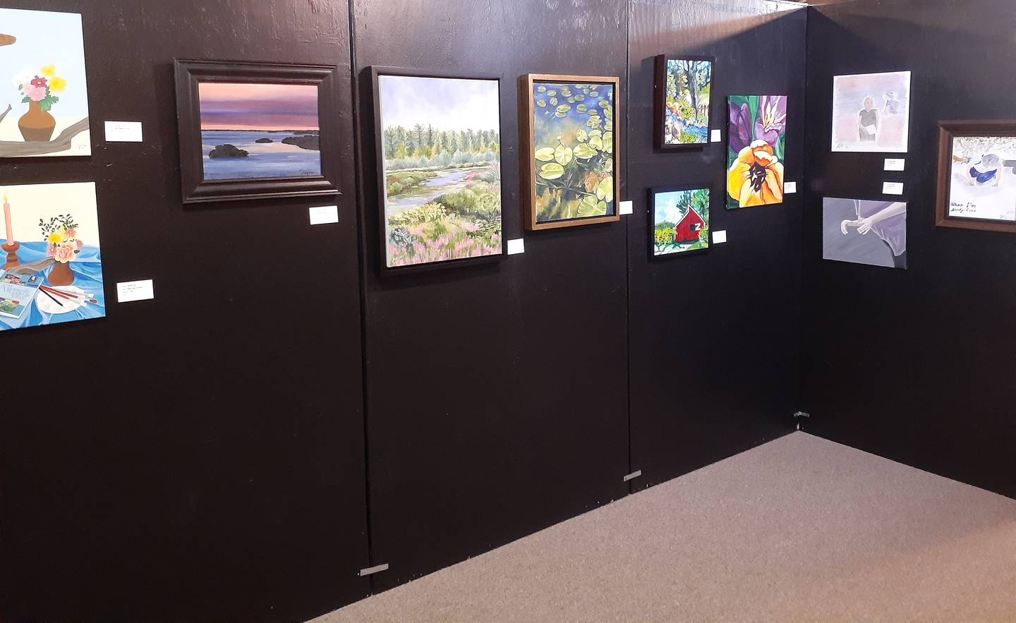 Byron museum will hold reception for Eagle’s Nest Art Group exhibit Feb