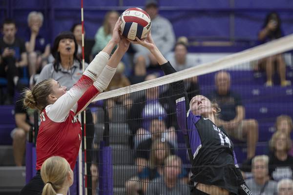 LaSalle-Peru responds to Dixon runs in road win