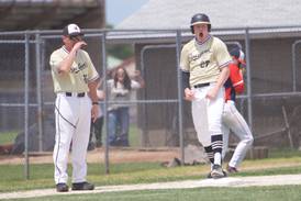 Prep baseball: Ethan Storm pitches one-hit shutout as Sycamore reaches sectionals