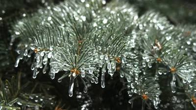 Batavia Plain Dirt Gardeners to meet Nov. 18