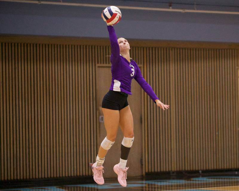 Downers Grove North's Sarah Rutkowski serves the ball against Downers Grove South at the Class 4A Willowbrook Sectional Final on Thursday, Nov.7,2024 in Villa Park.