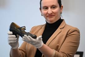 Art on the road: New program brings Elmhurst Art Museum pieces into the community