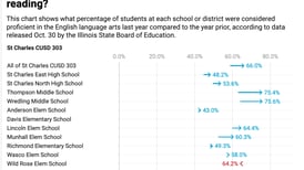 Can Kane County students read and do math at grade level?