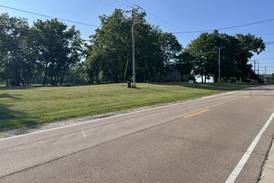 Land annexed into Sycamore could be developed into businesses