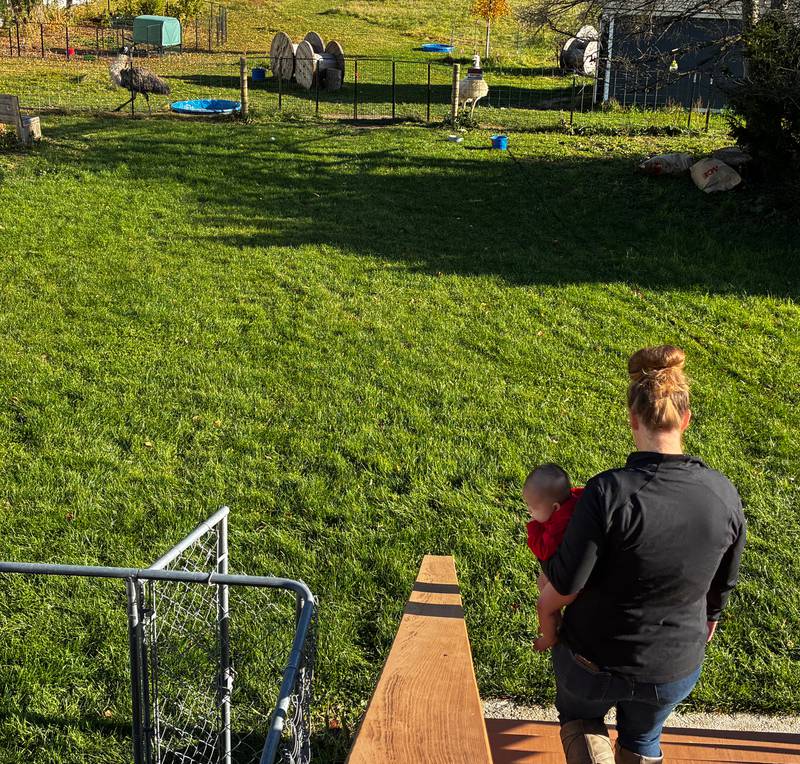 Dana Maaba, with her daughter, heads toward the area of her McHenry property where she and her husband keep emus. The Maabas are putting their house on the market as the city will not allow them to keep the emus the bought the property to house in 2020.