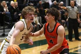 Photos: Crystal Lake South vs. Crystal Lake Central, Class 3A Crystal Lake South Regional boys basketball