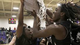 Daily Chronicle boys basketball preview: Team-by-team capsules