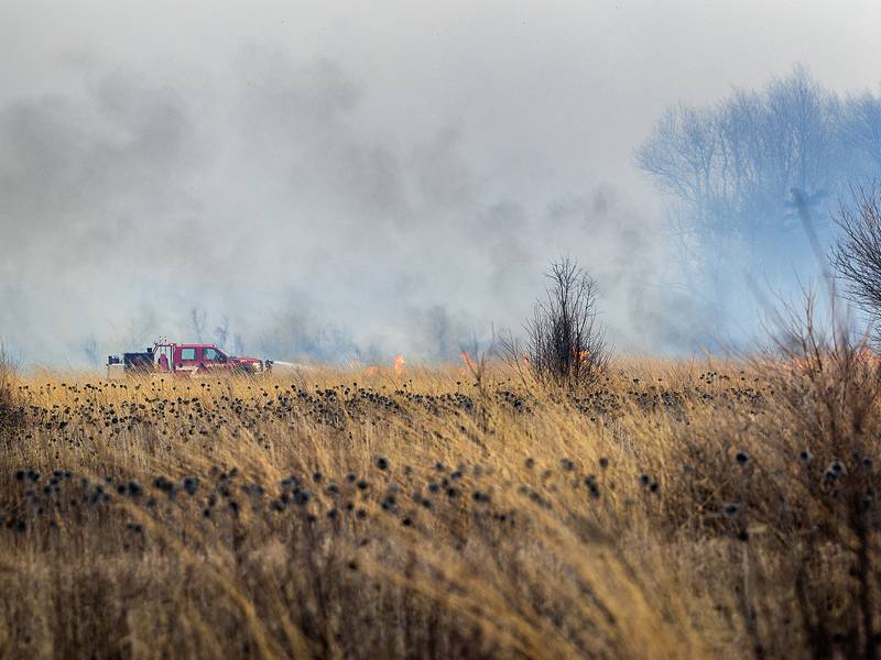 Lee County Board OKs new open-burning rules