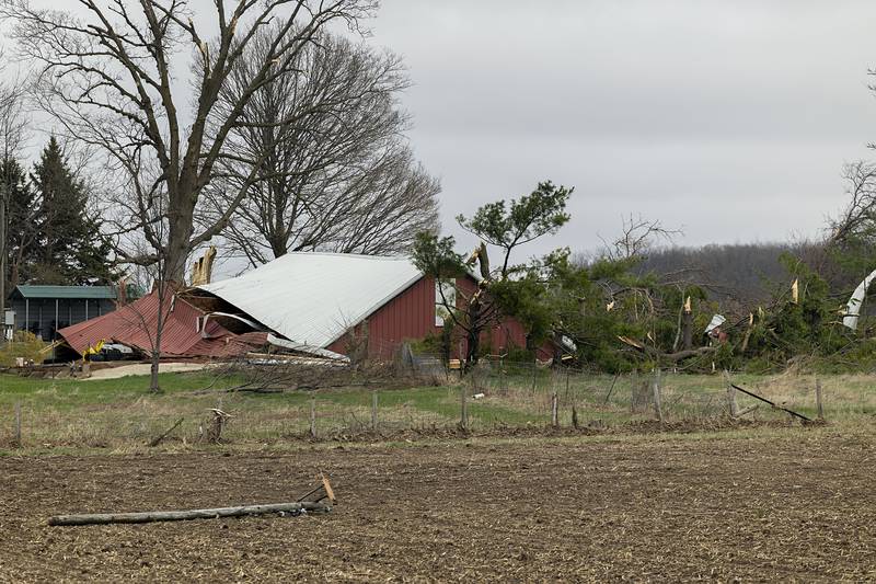 Tree and barn damage is seen on Mound Hill Road near Polo Friday, April 3, 2026. Thursday evening storms caused a swath of damage across the area.