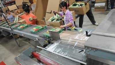 For one month, Kankakee Co. jobless rate dipped below state