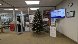 How to help Will County people, pets in need this holiday season