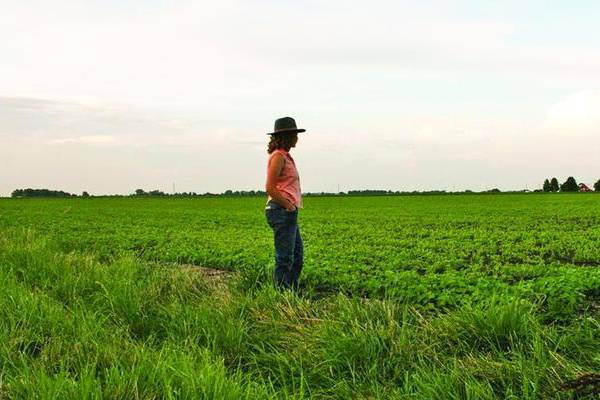 University of Illinois Extension new program helps farmers feeling financial, mental health stress 