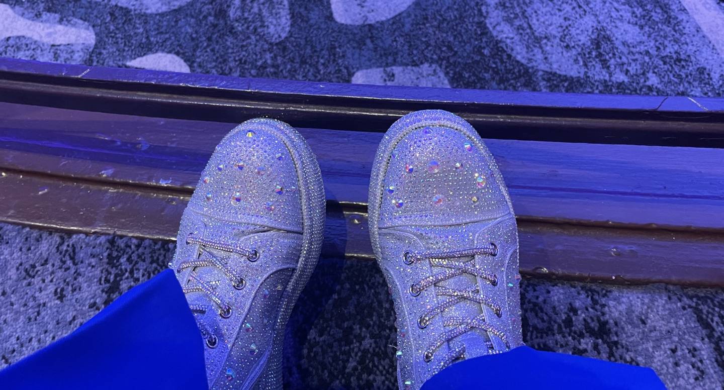 Kane County Board Member Michelle Gumz, D-Aurora, wears sparkly high tops everywhere. 'When I walk into the board room, people look at my feet.' For the first time, Kane County will have a proverbial seat at the table with Gumz's appointment to the National Association of Counties Judicial and Public Safety Steering Committee.