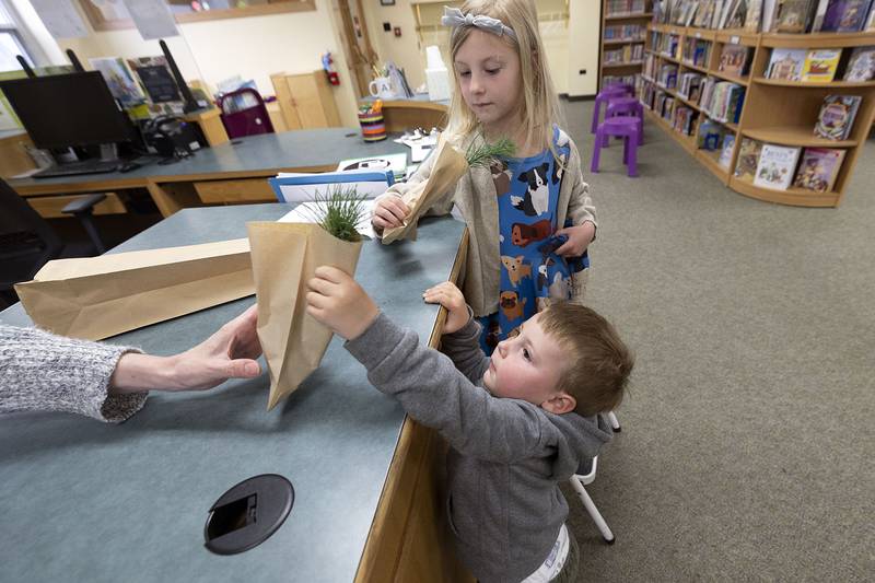 Quinton Gomes, 2, reaches for his new tree friend Monday, April 22, 2024 at the Dixon library.