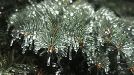 Batavia Plain Dirt Gardeners to meet Nov. 18