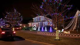 5 Things to do in Will County: Welcome the holiday season with tree lightings