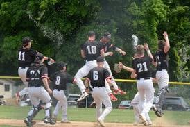 Photos: Fulton downs River Ridge/Scales Mound 3-2 at 1A Lena-Winslow Sectional