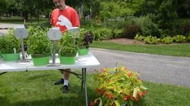 Photos: Garden Walk in Elmhurst